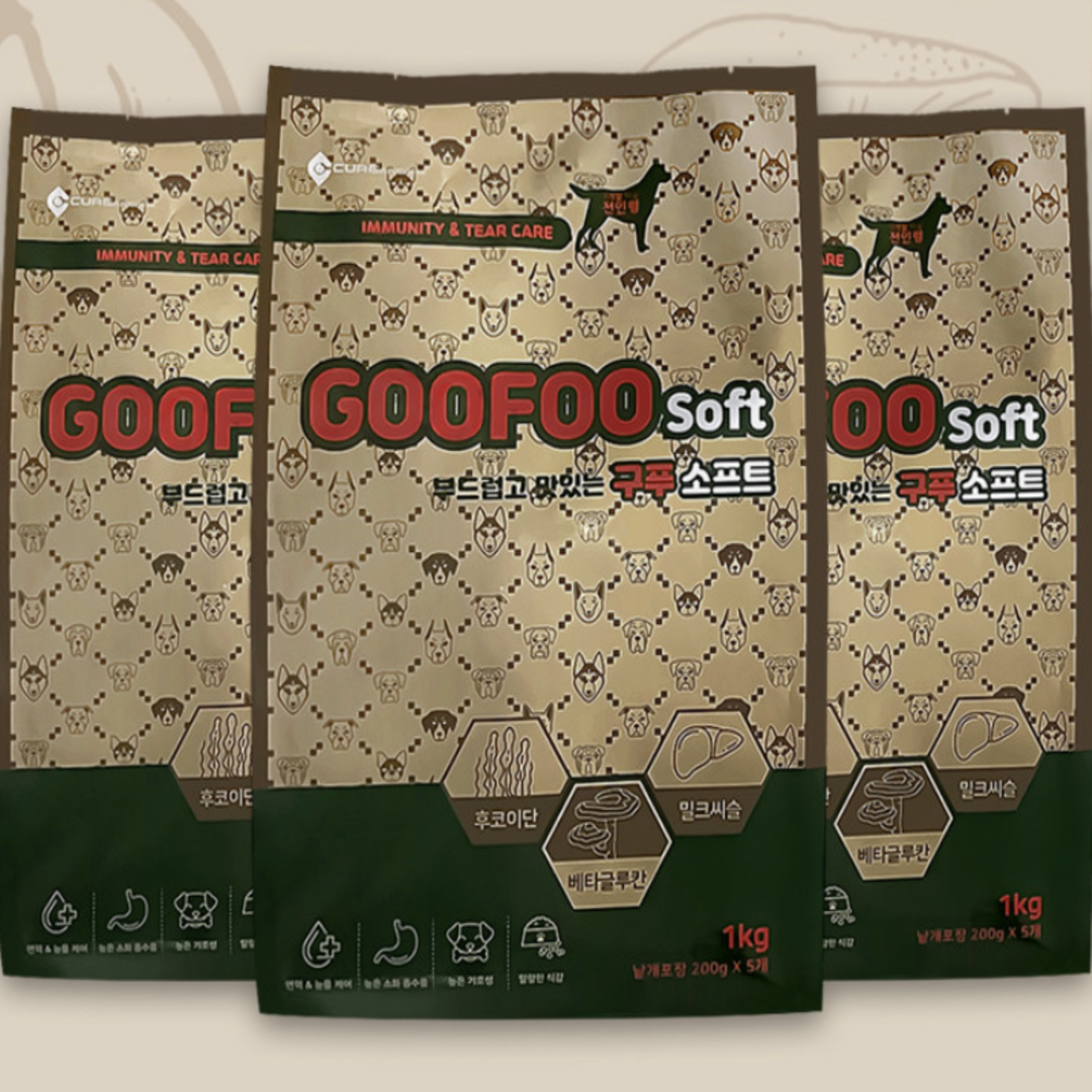 [구푸] 인플루언서 캠페인 